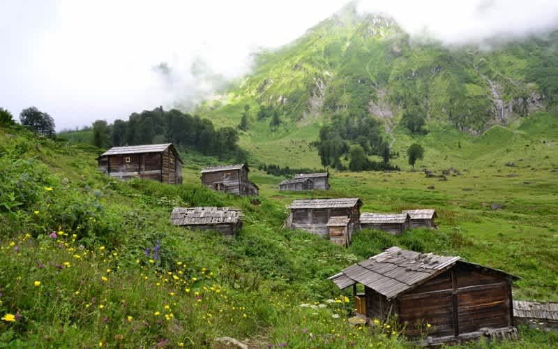 Gorgit Yaylası